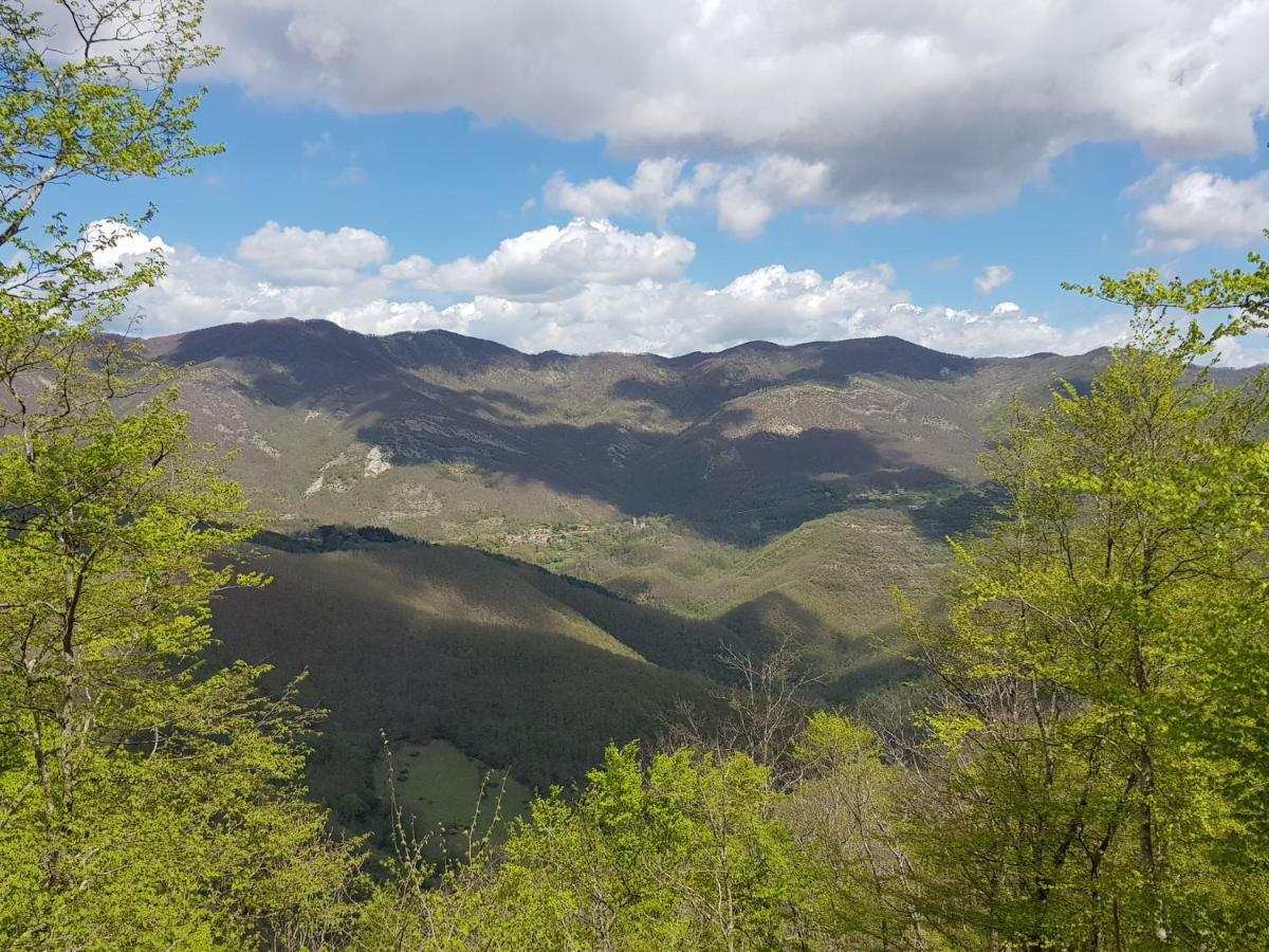 Alla Battuta Sansepolcro Exterior foto